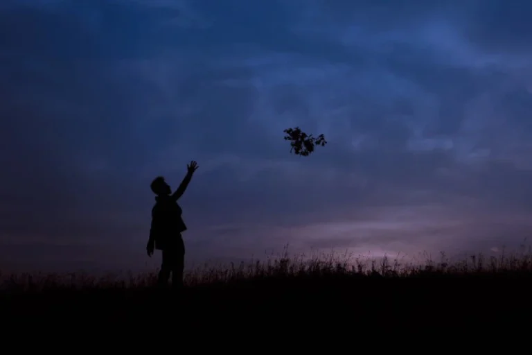 Starry night sky with a silhouette of a person letting go of floating flowers. Manifesting how to let go.